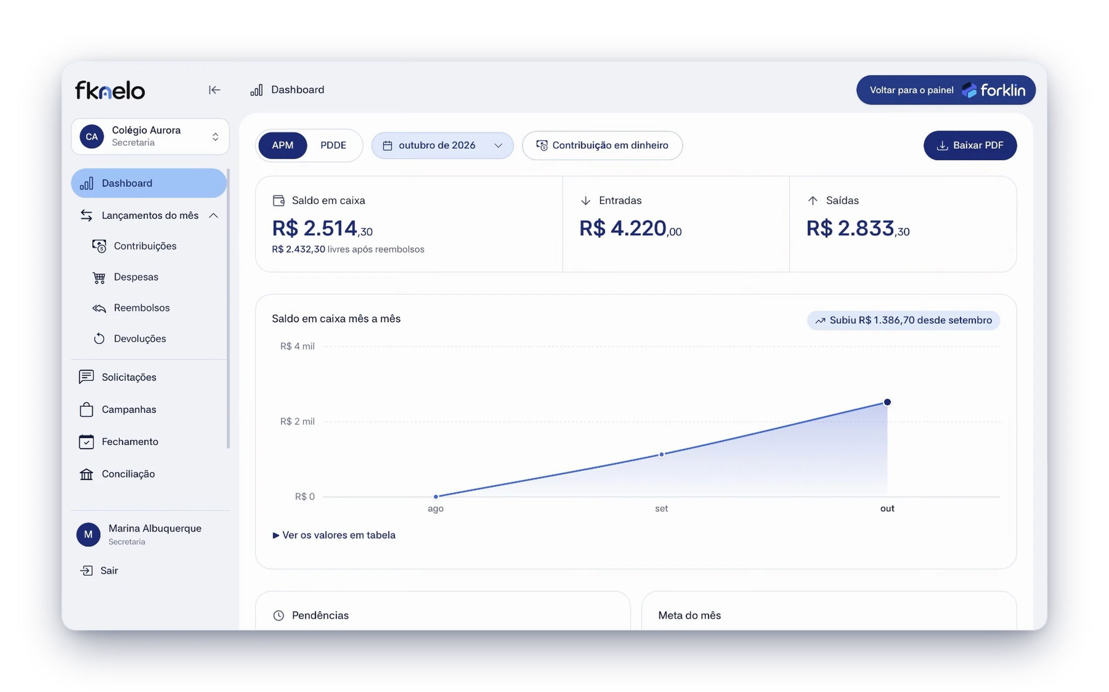 Painel do fknelo: saldo em caixa, entradas, saídas e evolução mês a mês